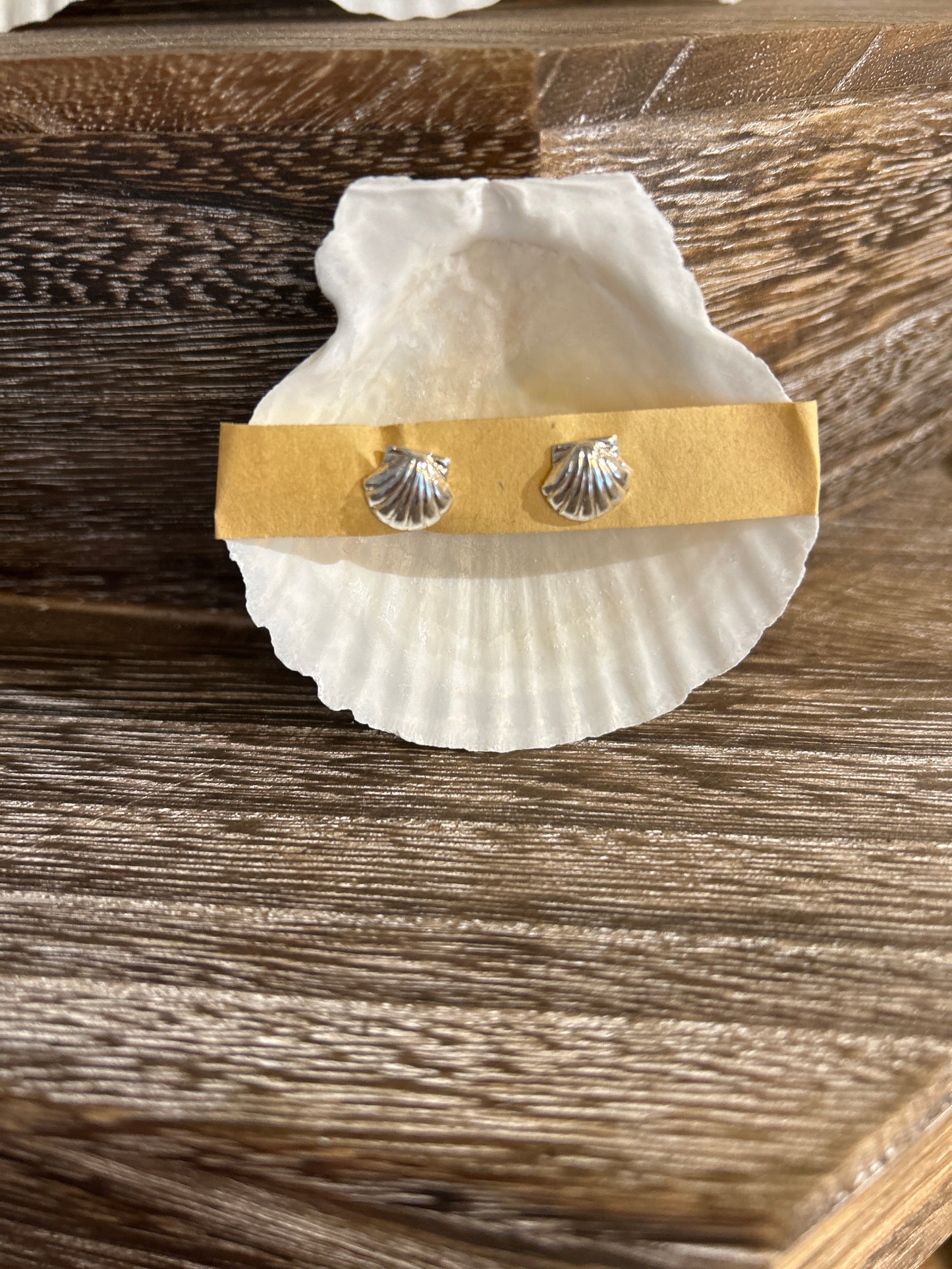 Sterling silver scallop shell stud earrings